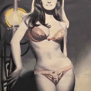 Vintage pin-up model wearing bra and panties