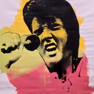 Colorful pop-art singer with microphone